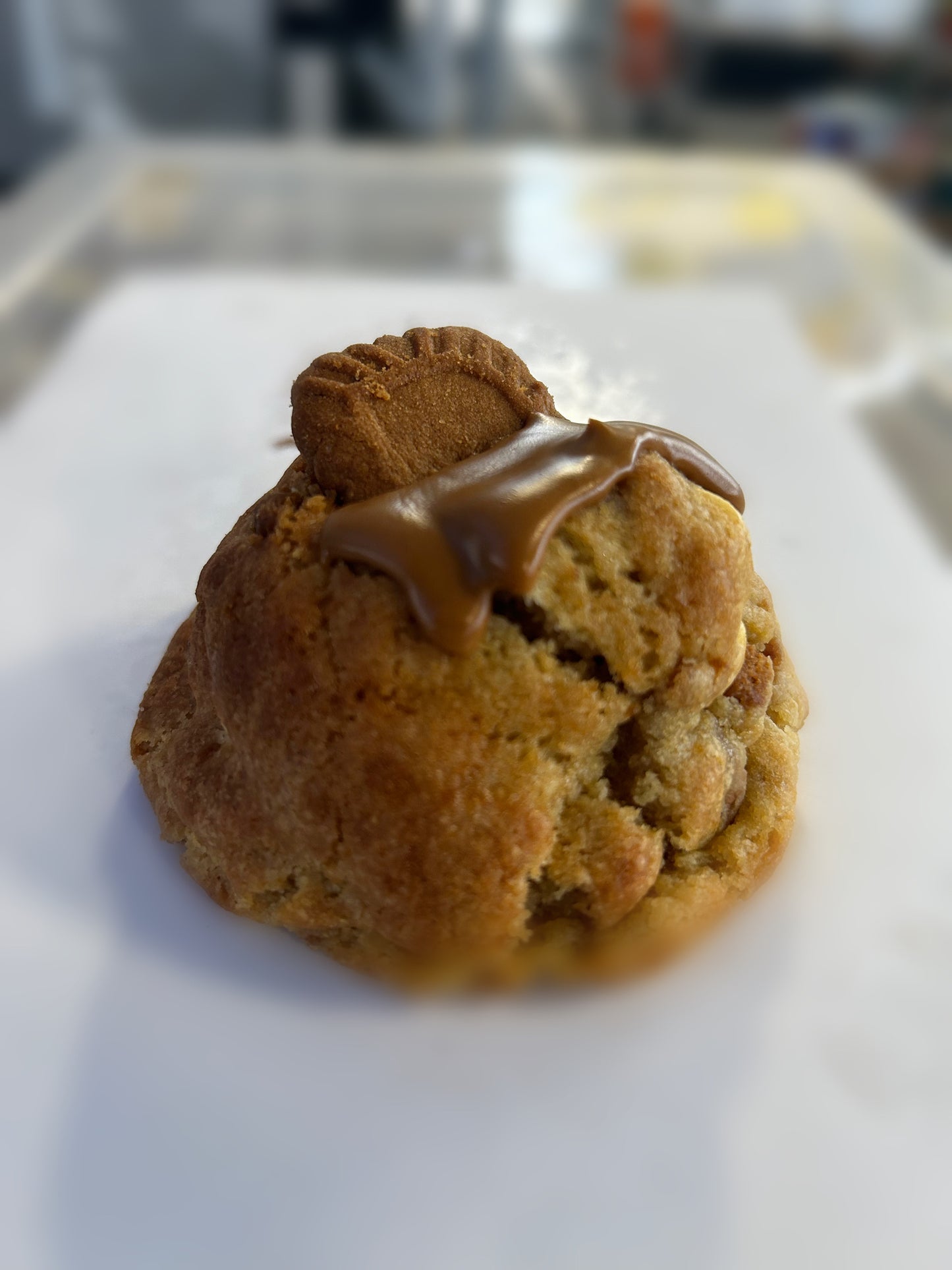 Butter Biscoff Cookie